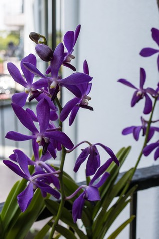 5C4A0357