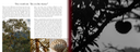 Screenshot 2020-11-24 at 3.29.38 PM