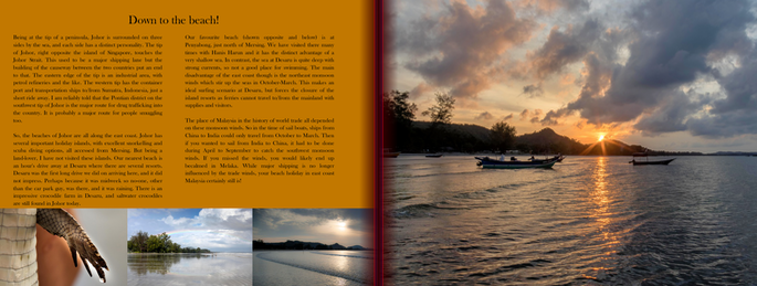 Screenshot 2020-11-24 at 4.08.04 PM