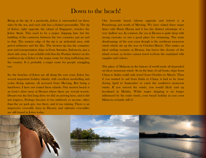 Screenshot 2020-11-24 at 4.08.15 PM