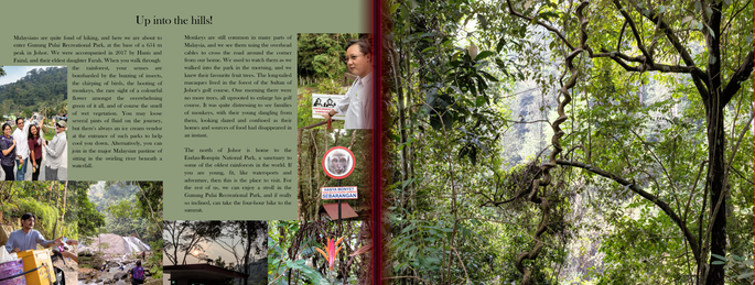 Screenshot 2020-11-24 at 4.08.48 PM