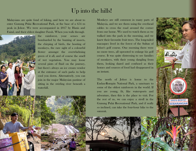 Screenshot 2020-11-24 at 4.09.00 PM