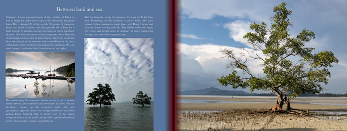 Screenshot 2020-11-24 at 4.09.26 PM