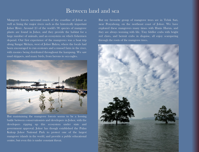 Screenshot 2020-11-24 at 4.09.37 PM