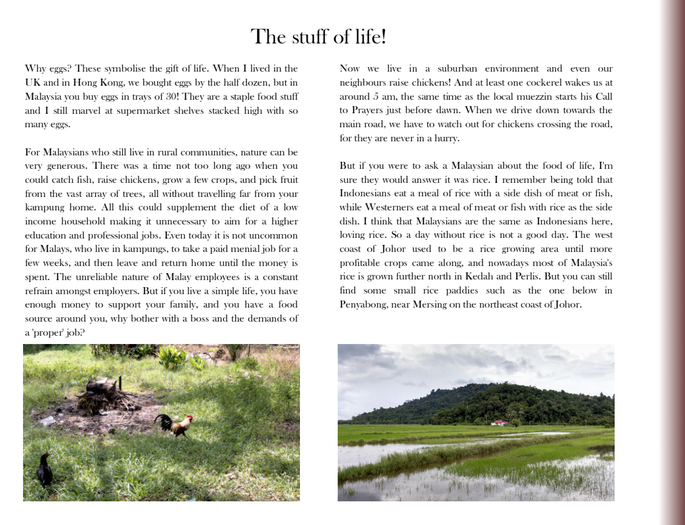 Screenshot 2020-11-24 at 4.10.17 PM