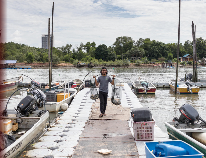 Screenshot 2020-11-24 at 4.11.06 PM