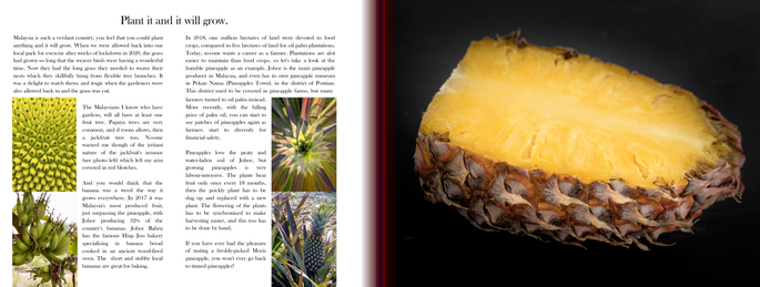 Screenshot 2020-11-24 at 4.11.20 PM