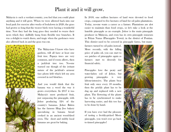 Screenshot 2020-11-24 at 4.11.37 PM