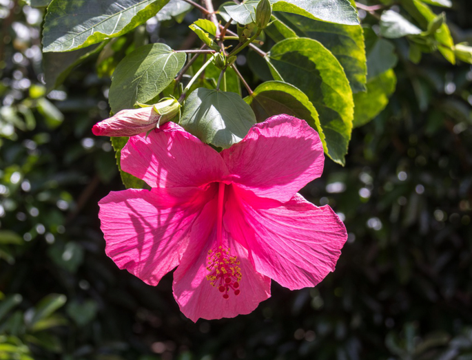 Screenshot 2020-11-28 at 12.48.39 PM