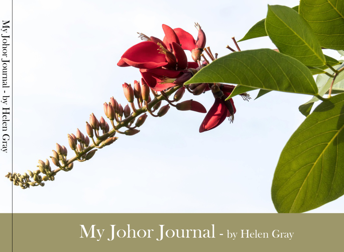 Screenshot 2020-11-28 at 12.48.56 PM